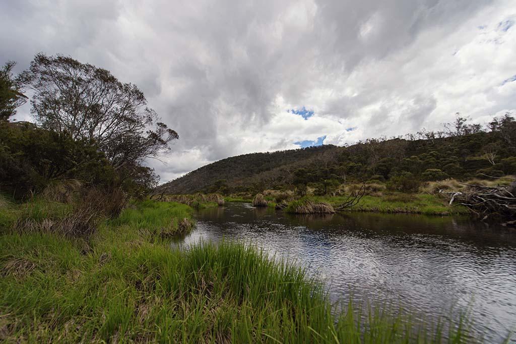 Rainbow Pines Tourist Caravan Park Adaminaby Eksteriør billede